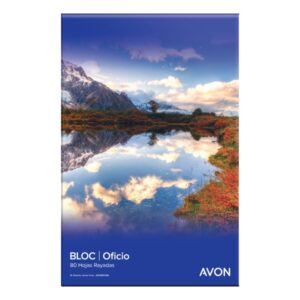 BLOCK LEDESMA AVON OFICIO PERFORADO X80H RAYADO (100022)