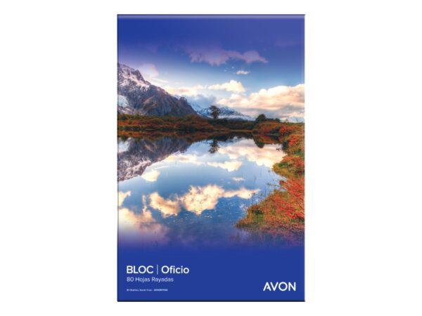 BLOCK LEDESMA AVON OFICIO PERFORADO X80H RAYADO (100022)