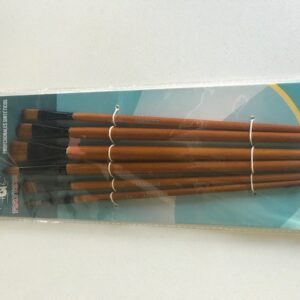 SET DE PINCELES MATISSE PB CABO BARNIZADO X6 SURTIDO SINTETICO (11116)