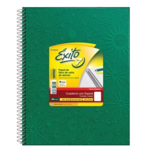 CUADERNO EXITO E7 21X27 COLEGIAL FORRADO X100H V/COLORES RAYADO (101985)