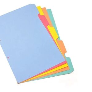 SEPARADOR HASENAUER 5 POSICIONES A4 COLOR F40 X50U C/U (T12)