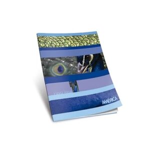 CUADERNO AMERICA T/F X86H RAYADO (239542)