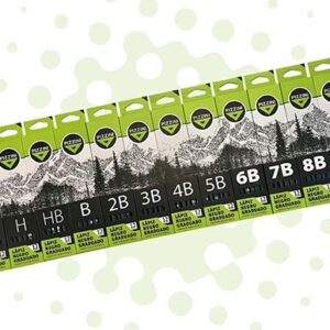 LAPIZ PIZZINI GRAFITO X12U 2H/H/HB/B/2B/3B/4B/5B/6B/7B/8B/9B (LMLG7BX12)