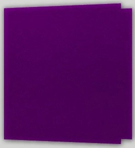 CARPETA REXON 3X40 GLITTER FILM