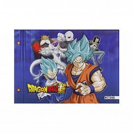 CARPETA MOOVING Nª5 DIBUJO C/CORDON DRAGON BALL (1004218)