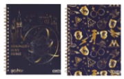 CUADERNO MOOVING HARRY POTTER T/DURA 16X21 X80H. C/ESP (1205222)