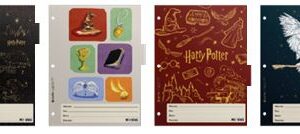 SEPARADORES MOOVING ESCOLAR HARRY POTTER (1101222)