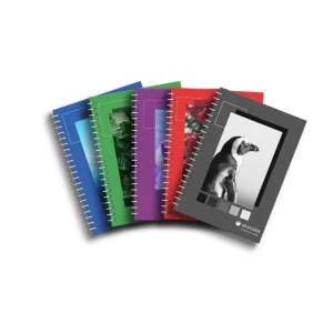 CUADERNO SKYCOLOR UNIVERSITARIO 22x29,7 x 57gs T/C x 80 hjs CUADRI. MOT. VARIOS (CUF5780-C)