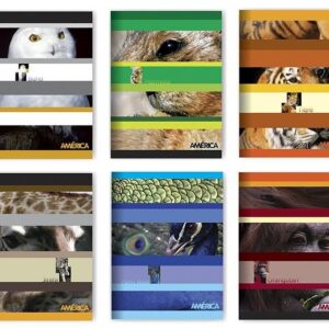 CUADERNO AMERICA T/F X24H LISO (267637)