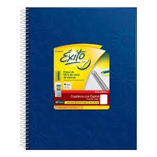 CUADERNO ÉXITO E7 21X27 COLEGIAL FORRADO X100 H V/COLORES CUADRICULADO (101986)