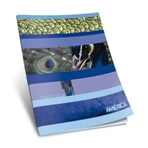 CUADERNO AMERICA T/F X86H CUADRICULADO (239550)