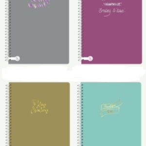 CUADERNO REYSA LINEA METAL SEMI FLEX 20X28 80H (1075)