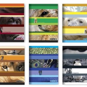 CUADERNO AMERICA T/F X48H RAYADO (238544)