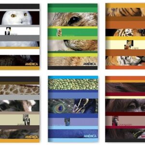 CUADERNO AMERICA T/F X24H RAYADO (237611)