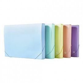 CAJA ARCHIVO LAMA 2CM PVC PASTEL A4 (DC402CA4P4)
