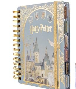 AGENDA MOOVING 2027 HARRY POTTER 14X20 DIA POR PAGINA (1404222)