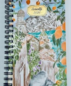 AGENDA MOOVING 2026 POCKET TRAVEL C/ESPIRAL 17X9.5 (1409105)