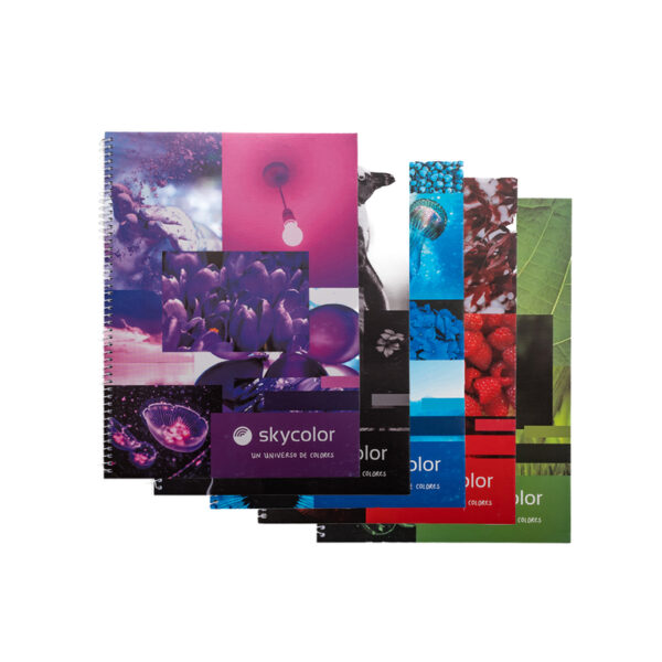 CUADERNO SKYCOLOR UNIVERSITARIO 22X29 57GRS X80H RAYADO.