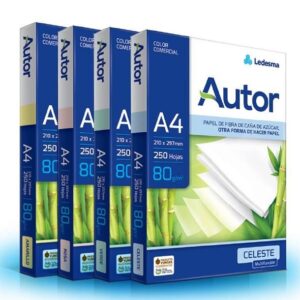 RESMA LEDESMA AUTOR 80 GRS A4 COLOR X 250 (1802129)