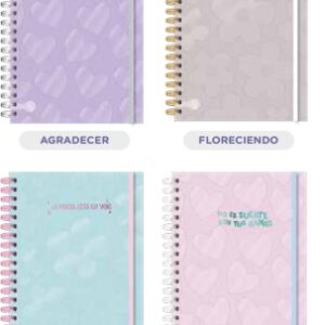 LIBRETA REYSA LINEA PASTEL ESPIRALADA 15X21CM 80HJS 70GRS (1100)