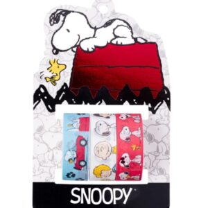 WASHI TAPE MOOVING MAW SNOOPY 1.5 X3 M BLISTER X3U (1342110102)