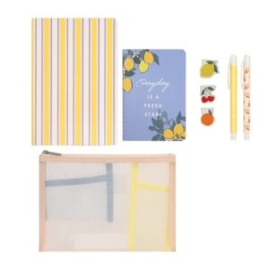 SET IBI CRAFT CITRIC (115310)