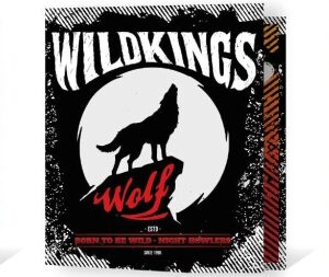 CARPETA REXON 3X40 HOLOREFLEX WILKINGS (20350)