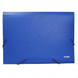 CLASIFICADOR TRAMA 12 DIVISIONES A4 V/COLORES