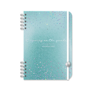 AGENDA RY 2027 PREMIUM "FOCUS" DÍA POR PÁGINA 12X17