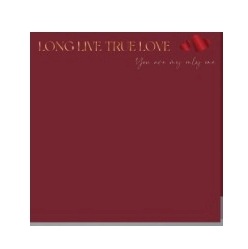 PAPEL COREANO IBI CRAFT 57X57 CM ROJO C/FRASE EN FOIL X20U C/U (647034)